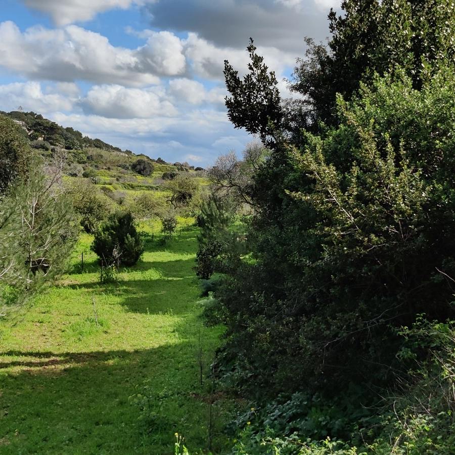 Buskett Gardens Malta