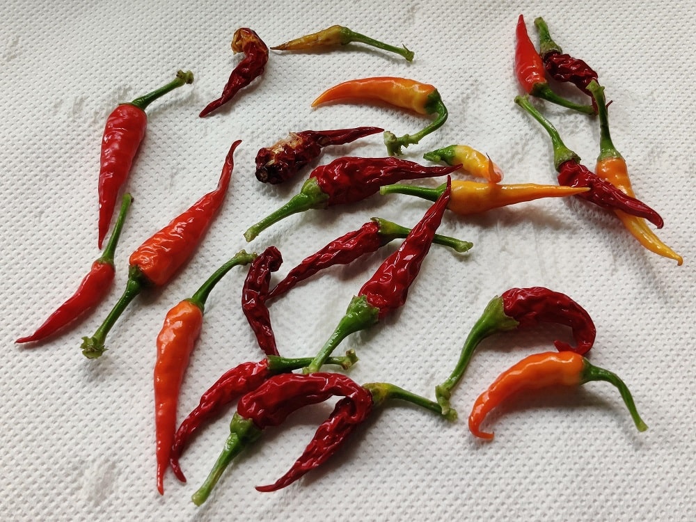 chilli peppers