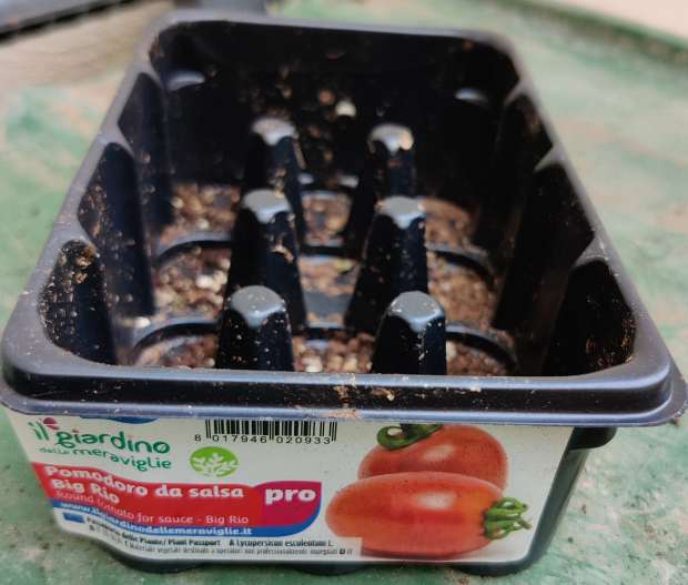 seedling container