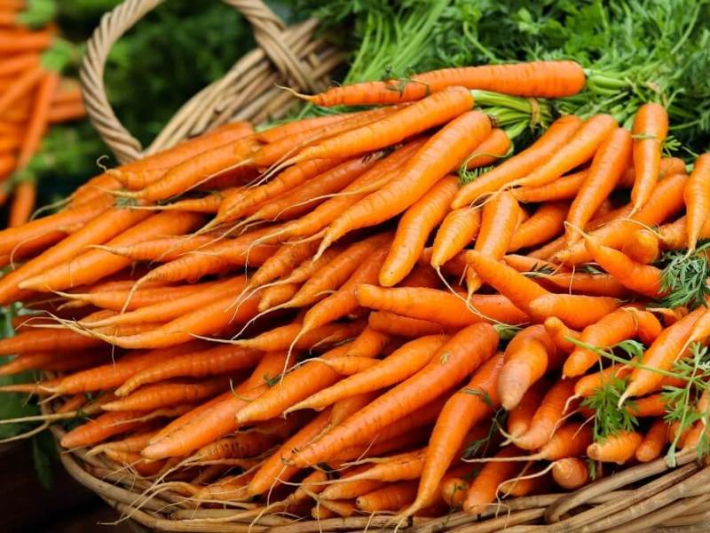 United Kingdom experiences food&nbsp;waste