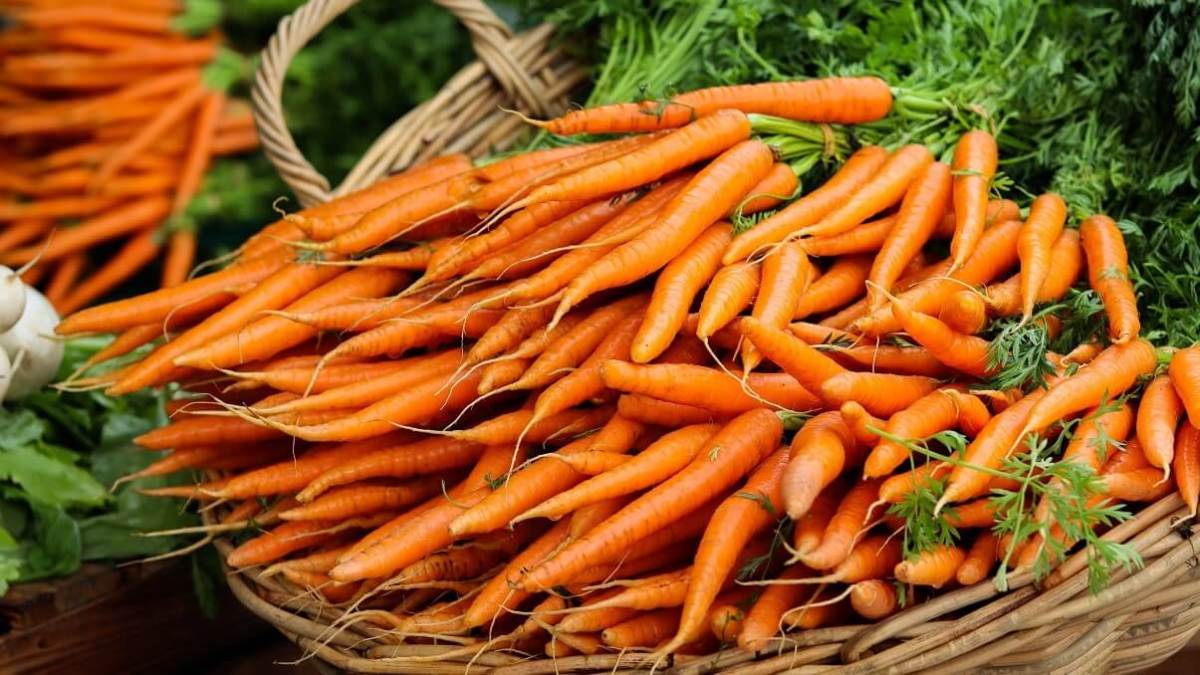 United Kingdom experiences food&nbsp;waste