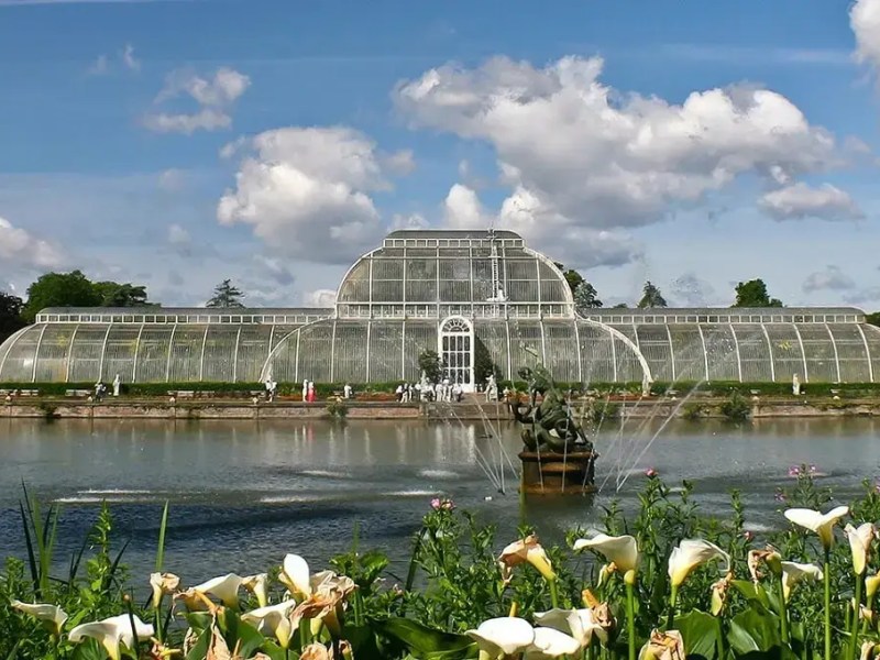 Botanic Wonders in Kew&nbsp;Gardens