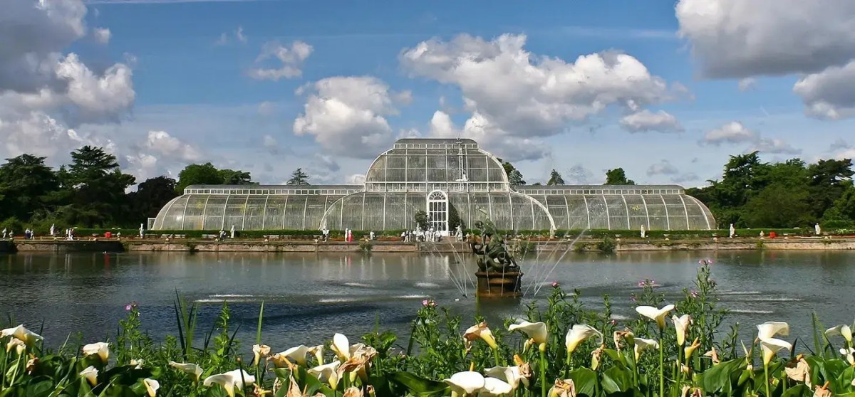 Botanic Wonders in Kew&nbsp;Gardens
