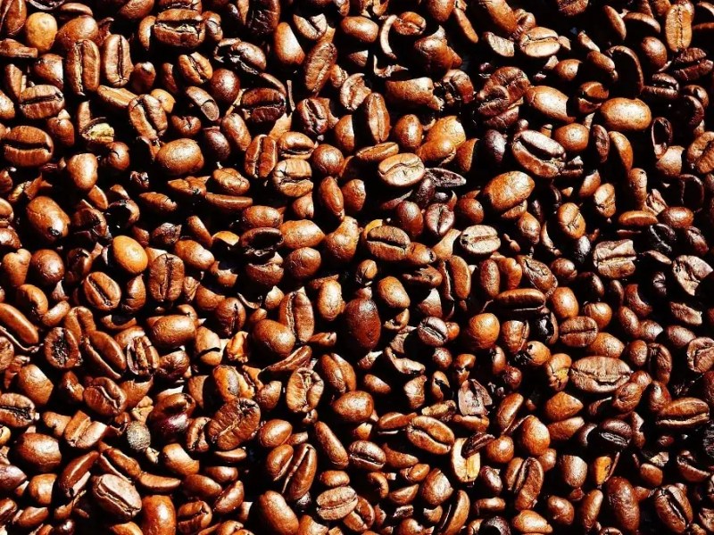 Which plants like coffee&nbsp;grounds?