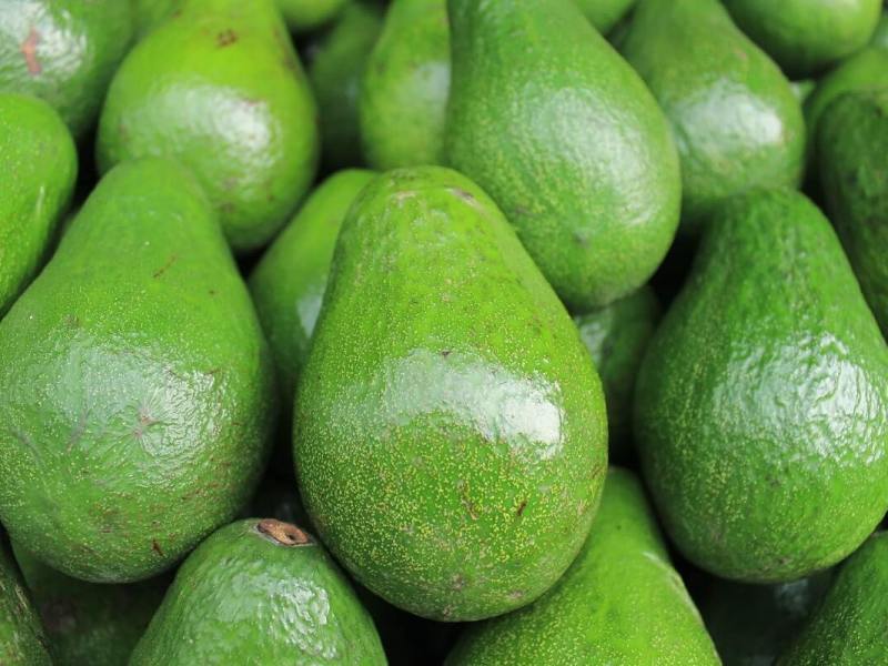 Australia has an Avocado&nbsp;problem