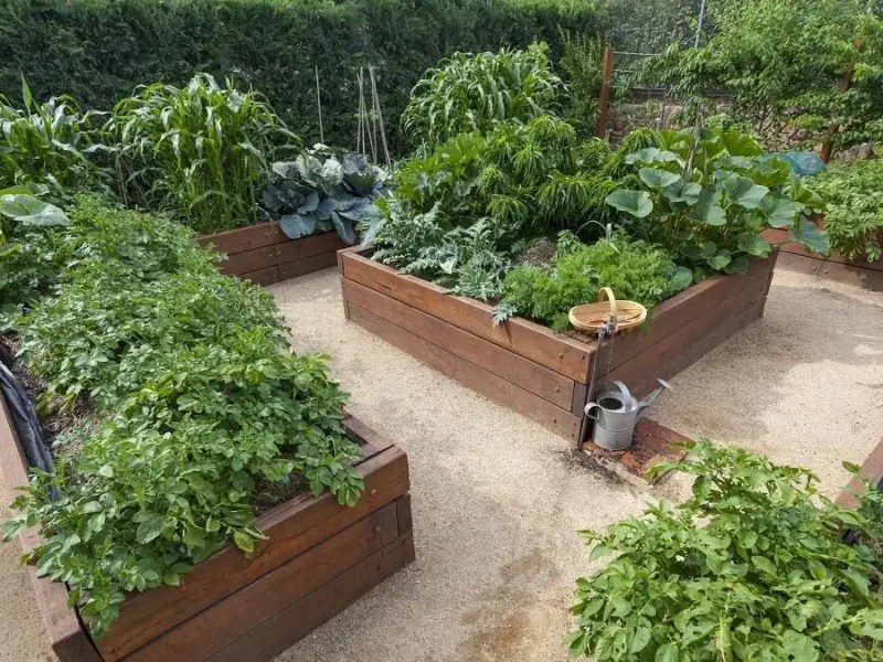 Raised Bed Vegetable Gardening for Beginners: A Comprehensive&nbsp;Guide