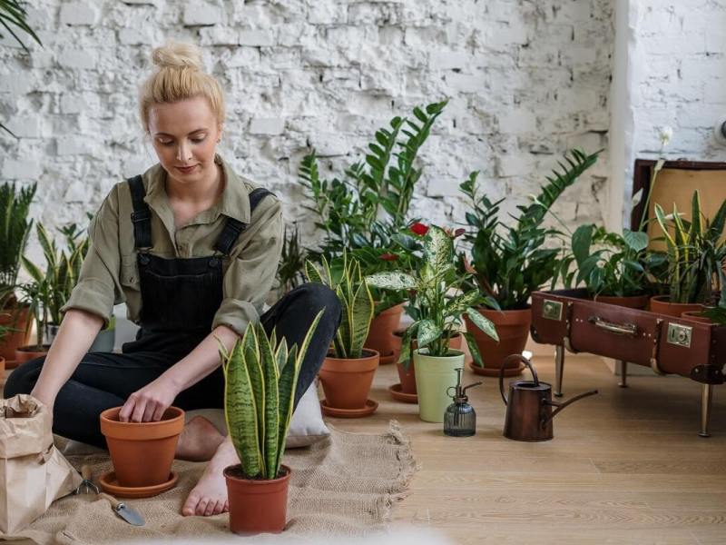 Gardening tips for&nbsp;beginners