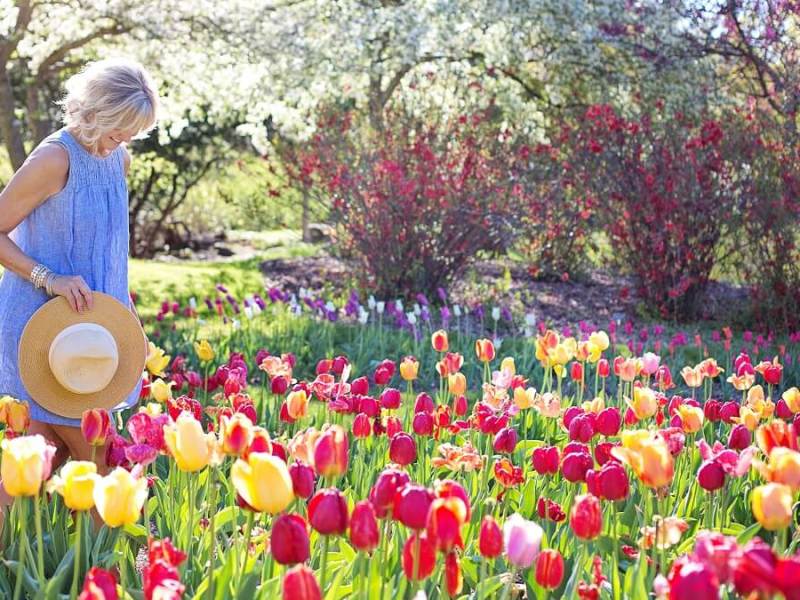 Washington Oaks Gardens State Park: A Beautiful Oasis in&nbsp;Florida