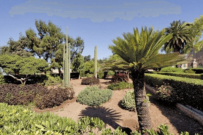 Argotti Botanical Gardens