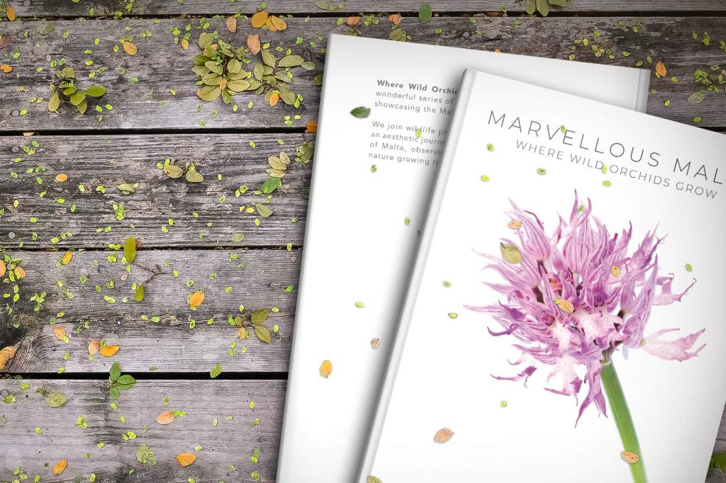 book about wild orchid flowers in Malta