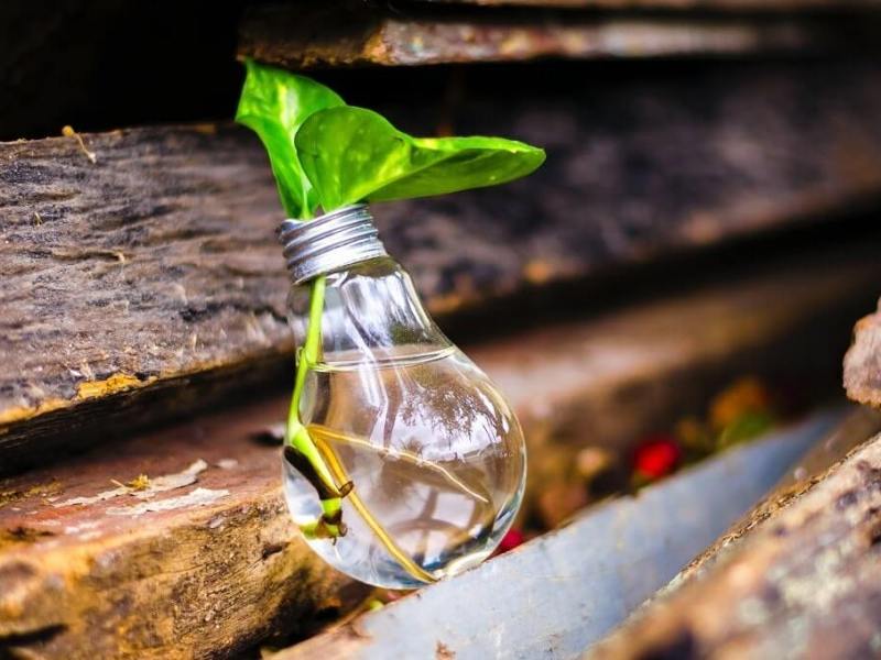 What is innovative&nbsp;gardening?