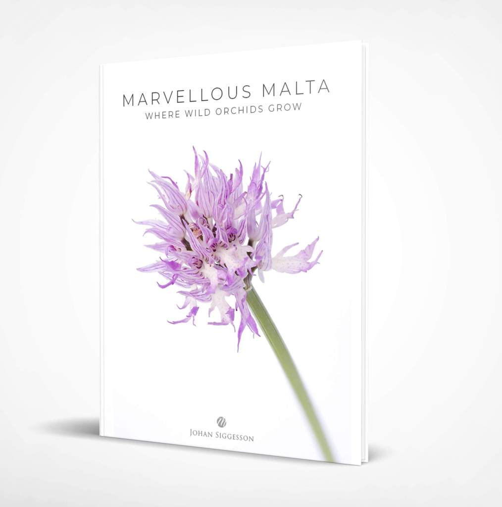 book about wild orchid flowers in Malta