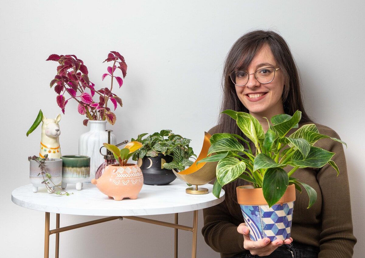 shelley's indoor jungle malta