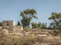 What Gardening Zone is Malta? A Guide for Gardening&nbsp;Enthusiasts