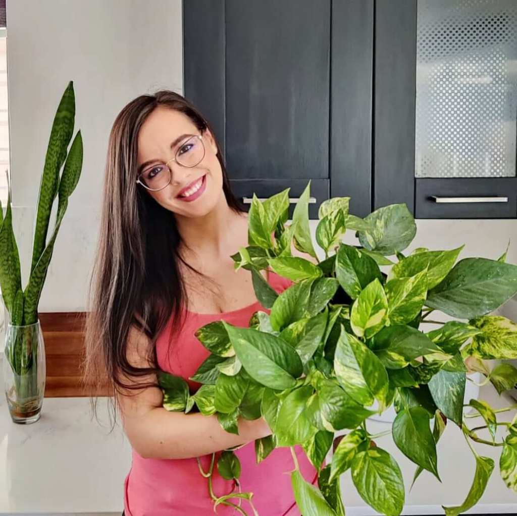 shelley's indoor jungle malta