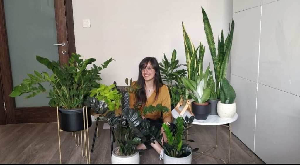 shelley's indoor jungle malta