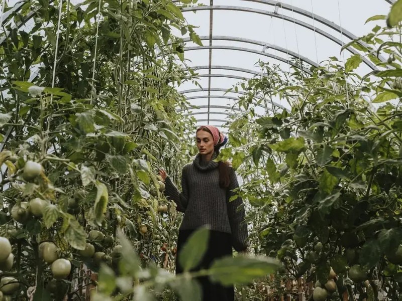 Bokashi: turning trash into&nbsp;treasure