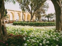 Discover the Best Gardens in Malta to&nbsp;Visit