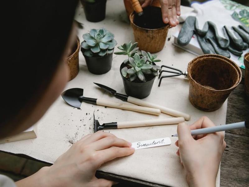 Gardening tool sets are the perfect Christmas&nbsp;gift