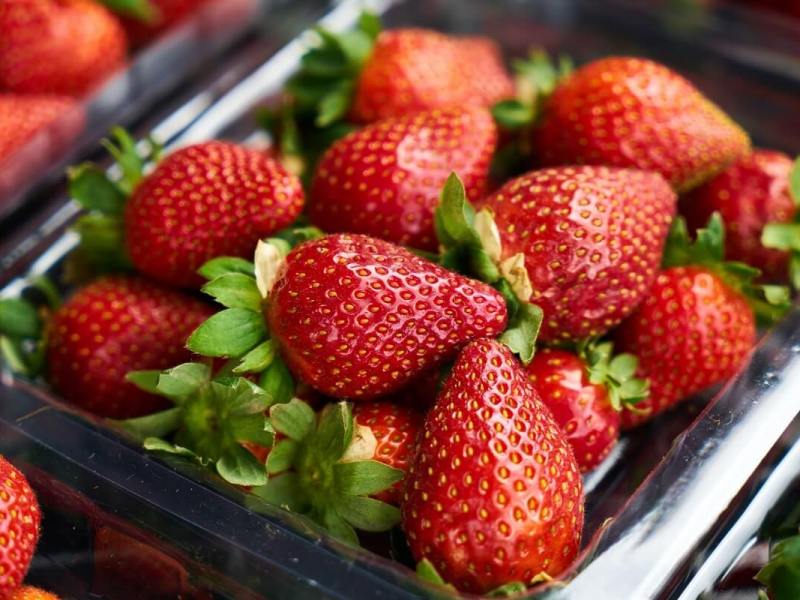 How are Strawberries&nbsp;Propagated?
