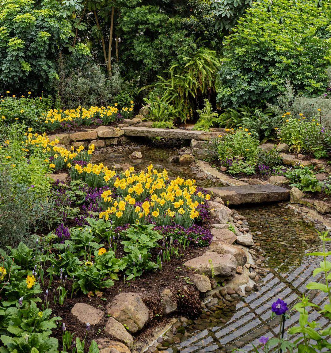 narcissus flowers in a garden