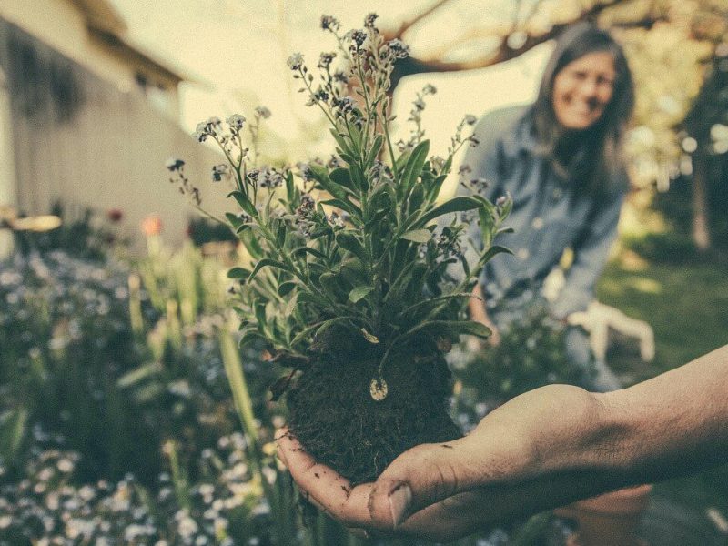 Why is gardening&nbsp;important?