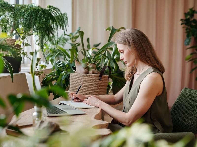 Indoor plants – What plants are best for&nbsp;indoors?