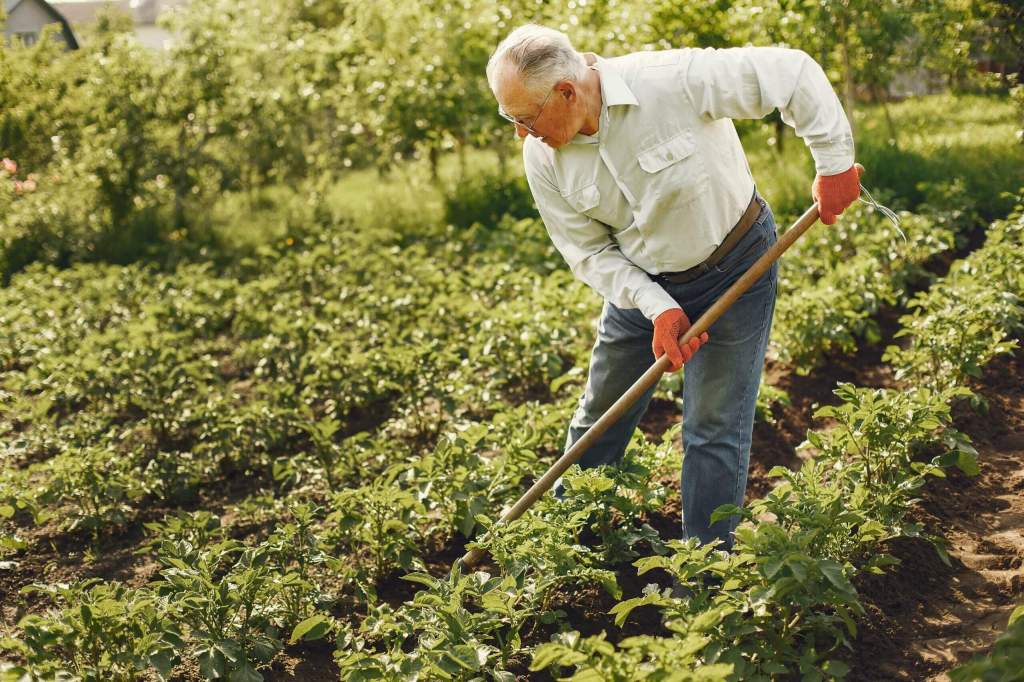 man doing gardening